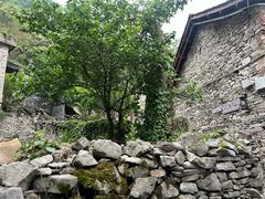 -高荡千年布依古寨旅游景区