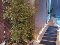 -龙宴海鲜城(经中路店)