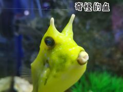 -正佳极地海洋世界