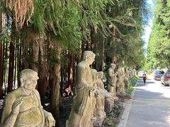 -武陵山森林公园