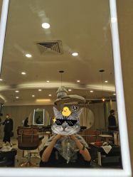 -八佰伴8008星级形象店