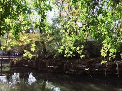 -同里湖度假村(二期店)