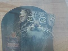 -青藏高原野生动物园