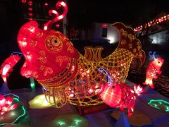 -横店影视城梦幻谷园区