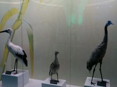 -扬州科技馆