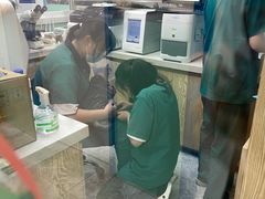 -全心全意连锁动物医院(石景山店)