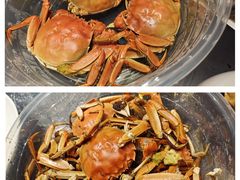 -宏宴·新京菜(望京店)