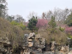 -采石矶景区