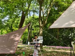 -白鹭湾湿地公园