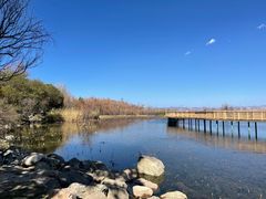 -洱海月湿地公园