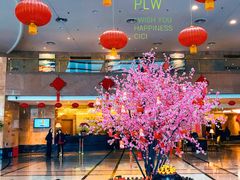 -南京维景国际大酒店(南京博物院店)