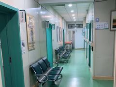 -北京观赏动物医院·24小时大型综合·猫专科·异宠专科