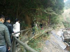 -花岩国家森林公园