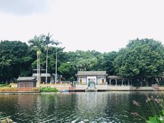 -荔湾湖公园