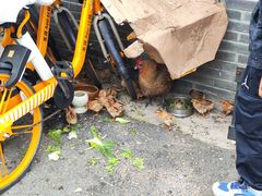 -南京朝天宫古玩市场2期