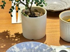 -CURRY YA 熟成咖哩專門店(深圳湾万象城店)