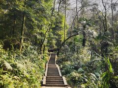 -青城山
