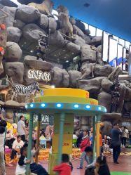 -卡通尼·Safari非洲探索乐园·生日会(金桥国际商业广场店)