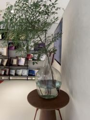 -佳颜轻医美·美学抗衰中心