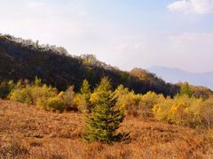 -白草畔自然风景区