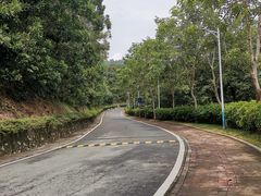 -火炉山森林公园