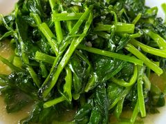 -曾牛肉