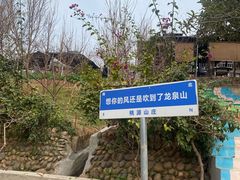 -桃源山庄·水蜜桃采摘·柴火鸡·烧烤团建(龙泉山店)