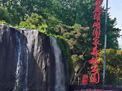 -合肥滨湖国家森林公园