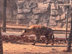 -秦皇岛野生动物园