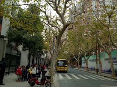 -上海市黄浦区卢湾第一中心小学