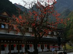-秦岭天竺山生态文化旅游景区