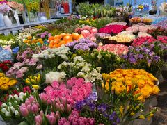-双季花艺园艺市场(浦东店)