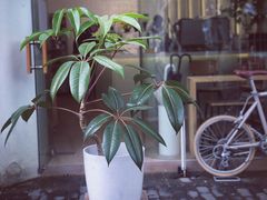 -Onirii Coffee(长乐路店)