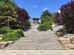 -大兴滨河森林公园