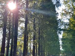 -歌斐颂巧克力小镇