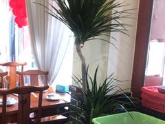 -北京烤鸭店(新桥家园·浦口店)