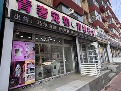 -青奢宠物·青奢猫舍