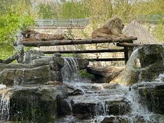 -北京野生动物园