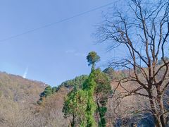-抱龙峪