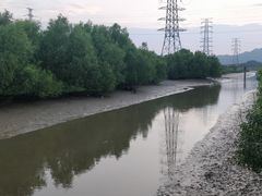 -崖口红树林海鲜餐厅