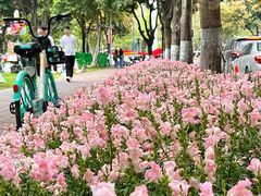 -二沙岛艺术公园