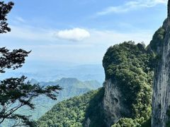 -牛背梁国家森林公园