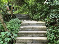 -西安祥峪森林公园