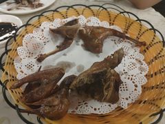 -百利鸽王(紫薇路店)