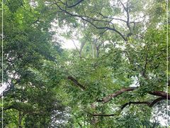 -桂林独秀峰王城景区