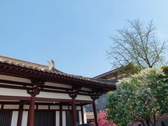 -西安青龙寺遗址景区