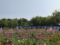 -国家植物园南园