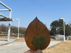 -白塘生态植物园