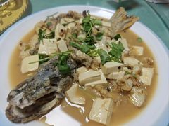 -煲来饱去冷水鱼