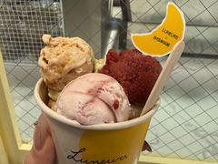 -LUNEURS月乐诗·法式冰淇淋(环贸店)
